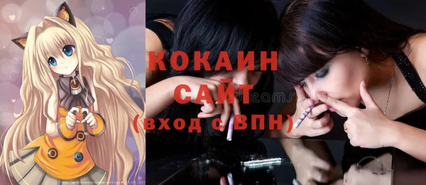 гашик Алзамай