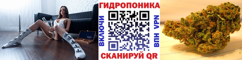 Каннабис Amnesia  Яровое 